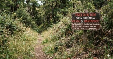 ¡A rezar por la familia! Evacuan a trabajador  con posible Virus Hanta en Chaitén y sus cabros están pa’l gato